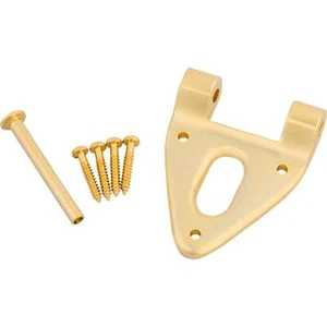 Bigsby Hinge, Conv., with Hinge Pin and Screws, Gold - Picture 1 of 2