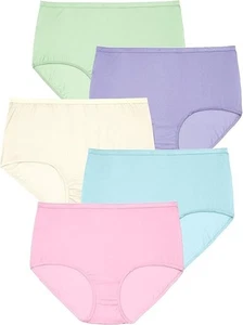 NWOT Assorted Comfort Choice 5 Pair Pack Nylon Brief Panties Size 12 - Picture 1 of 1
