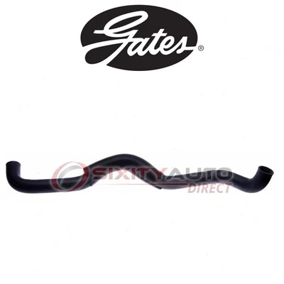 Gates Lower Radiator Coolant Hose for 1996-2000 Dodge Caravan 3.3L 3.8L V6 - kz Foto 1 de 4