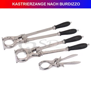 Castration et la Stérilisation des Pinces Selon Burdizzo Unblutigen Vétérinaire - Picture 1 of 5