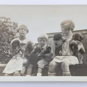 Fotografia d'epoca bambini che tengono lettiera di cani cuccioli pechinesi 1928 istantanea - Foto 1 di 4