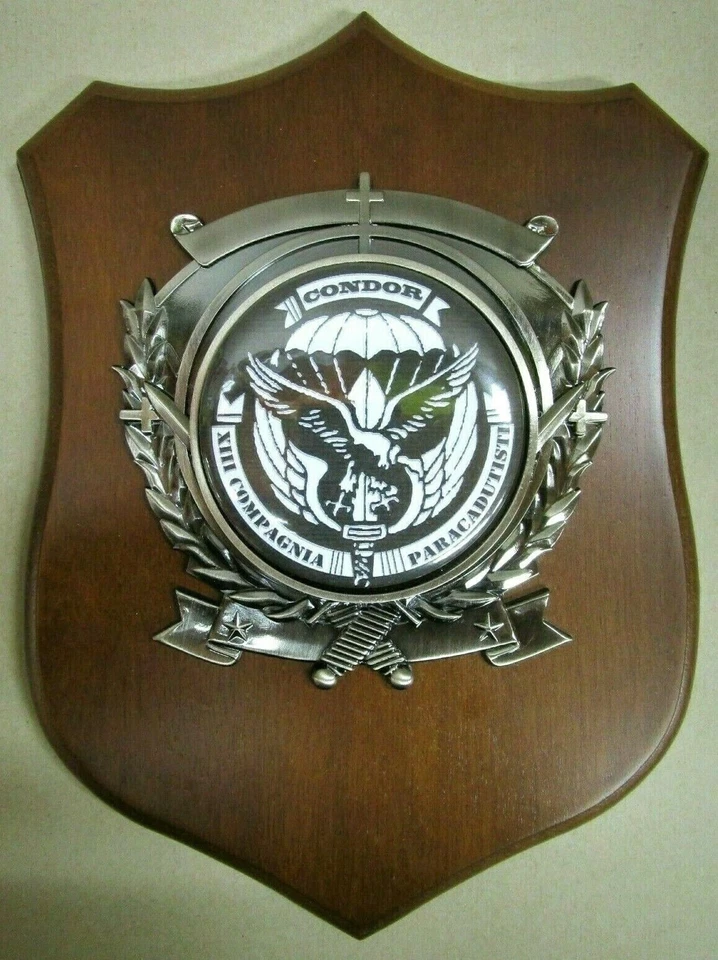 Crest "13^ COMPAGNIA CONDOR - 186° REGGIMENTO PARACADUTISTI FOLGORE" - (Rarità) - Immagine 1 di 1