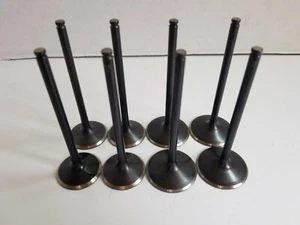 Kawasaki Brute Force 650 700 750 Teryx 750 Kibblewhite STD Valves Viton Seals - Picture 1 of 2