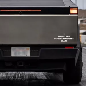 Tesla Besitzer habe ich das gekauft, bevor Elon verrückt ging Autoaufkleber Aufkleber 5,9"x2,5" - Bild 1 von 2
