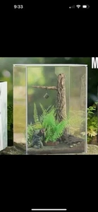 Metal Gear Solid Delta: Snake Eater Collector’s Edition - Terrarium Malaysia - Picture 1 of 10