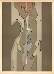 Joaquin Ferrer lithographie sur vélin signée abstraction abstract art Argentine - Picture 1 of 1