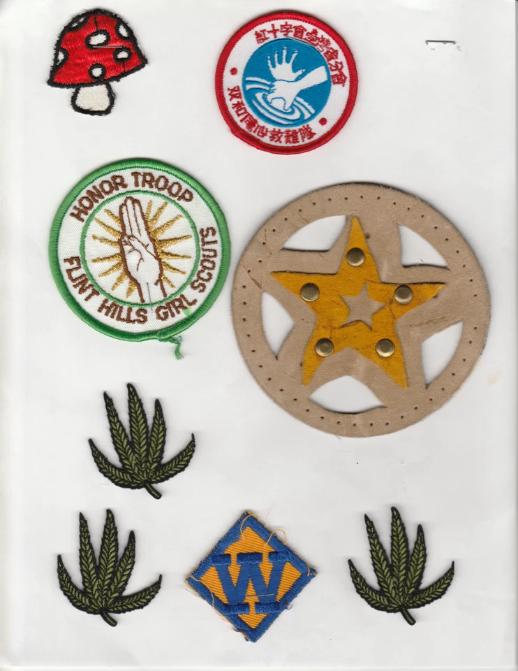 Vintage Patches Mushroom Girl Scouts Cannabis Flower Suede Star W - Image 1 of 1