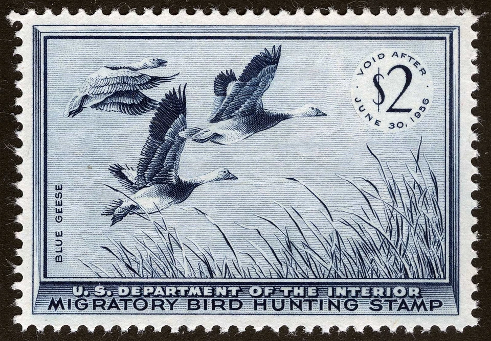 US Sc RW22 Azul Oscuro $2.00 1955 MNH Original Goma Federal Pato Sello XF-S GEMA XF-S Foto 1 de 1