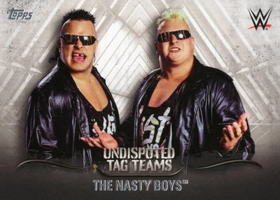 The Nasty Boys (B Knobbs J Sags) 2016 Topps WWE Undisputed Tag Team #UTT-25 - Image 1 of 2