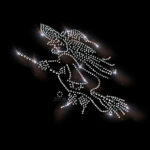 Strass Bügelbild, Hexe, Karneval, Applikation, Strassmotiv, Bügelbilder 120820 - Bild 1 von 3