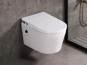 MEJE #T010W - New Wall Hung Toilet Combo, Soft Close Seat w/ a in-Wall Carrier - Picture 1 of 21