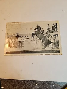 Postal Rodeo Paul Gould Bucked de Badger Mountain Serie de Fotos Blanco Negro - Imagen 1 de 6