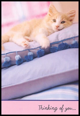 Greeting Card - Cat Kitten - Get Well - 0182 - Image 1 of 2