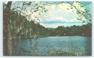 Postcard Trout Pond in Vermont - Picture 1 of 3