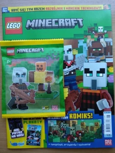 LEGO MINECRAFT 6/2023 ROBBER + TRAINING DUMMY / limited edition minifigure - Zdjęcie 1 z 1