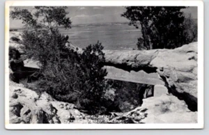 POSTAL RPPC EL PUENTE NATURAL BOSQUE PETRIFICADO ARIZONA - Imagen 1 de 2