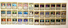 Vintage Pokémon Trainer 36 Card Lot-(See Description For Each Card Details) *LP