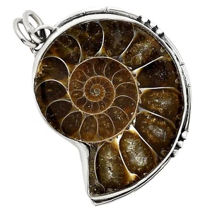 Amonita fósil natural - Madagascar 925 plata esterlina colgante joyería P-1736 - Imagen 1 de 5