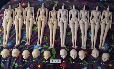 Lote de 10 cuerpos y cabezas de muñecas femeninas escala 1/3 lote #1 Foto 1 de 4