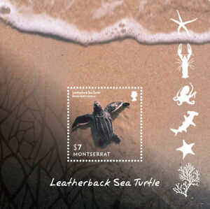 Montserrat - 2015 Leatherback Sea Turtle of the Caribbean - Souvenir Sheet - MNH