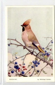 (KLj3003) Nature Series, Waxwing, c1930 - Picture 1 of 2
