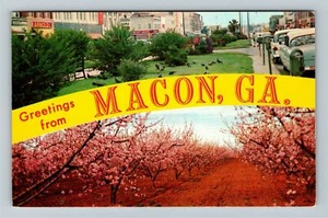Postal de colección Macon GA-Georgia, saludos de pancarta, huerto de melocotones en flor - Imagen 1 de 4