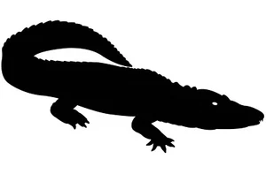 Alligator Silhouette Vinyl Decal - Picture 1 of 5