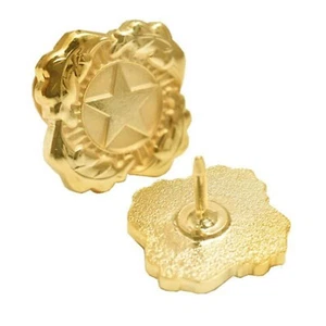 NEXT OF KIN STAR SURVIVORS FAMILY LOSS OF LOVED ONE  LAPEL PIN  - Picture 1 of 1