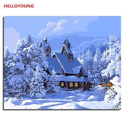 Snow Landscape Digital Oil Painting DIY Handpainted Oil Paintings Canvas Drawing • 11.62$