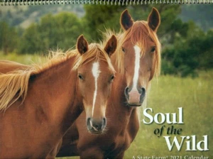 COLLECTIBLE CALENDAR-2021-SOUL OF THE WILD-HORSES-FULL MOON-BUFFALO-WOLF-DEER - Picture 1 of 2