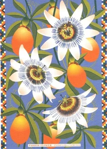 PRINTER JOHNSON GREETING CARDS Passion Flower BIRTHDAY BLANK ILLUSTRATED ART - Picture 1 of 8