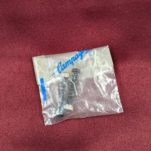 Campagnolo Rear Drop-Out Alignment Adjuster Screws Springs PAIR 12-22mm NOS - Picture 1 of 4