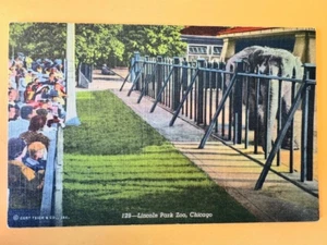Cartolina: Lincoln Park Zoo, Chicago, Illinois, elefante, lino vintage non spedita - Foto 1 di 2