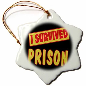 3dRose I Survived Prison Survial Pride And Humor Design 3 inch Snowflake Porcela - Picture 1 of 1