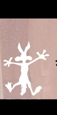 WILE E COYOTE 塑料贴花贴纸 有趣的 SPLAT 适用于汽车凹痕卡车 JEEP 车窗 — 第 1/3 张图片