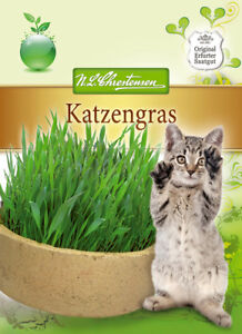 Katzengras - Avena sativa & Phleum pratense, Samen 4575