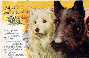 VINTAGE BAMFORTH BEST OF LUCK postcard: WESTIE & SCOTTIE TERRIER DOGS 226 - Picture 1 of 1