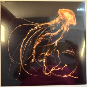 Royal Blood Back To The Water Below LP Album vinyl record 2023 indie rock - Picture 1 of 12