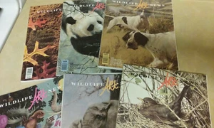Lot of 1992 Wildlife Art News Magazines - 5 Issues Plus the 1992 Yearbook - Bild 1 von 11