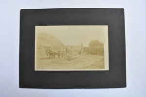 Occupational Photo Farm Workers 2 Horse Powered Hay Press Baler Denim Cabinet - Bild 1 von 5