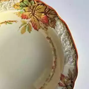 MYOTT ZUPPIERA FOGLIE AUTUNNALI STAFFORDSHIRE ENGLAND - Foto 1 di 4