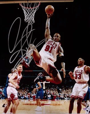 Dennis Rodman Signed Bulls Basketball 16x20 Photo PSA/DNA COA NBA Picture Auto'd - Image 1 of 4