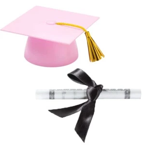 Plastic Graduation Cap Cake Topper with Large Paper Diploma Cake Topper Pink - Picture 1 of 4