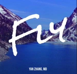 fly album physical CD, pre-order. - Picture 1 of 1