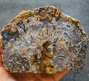 34.6 oz (982 gr) Pseudomorph Agate Half, Agate Half, Pseudomorph Agate, Decor - Picture 1 of 14