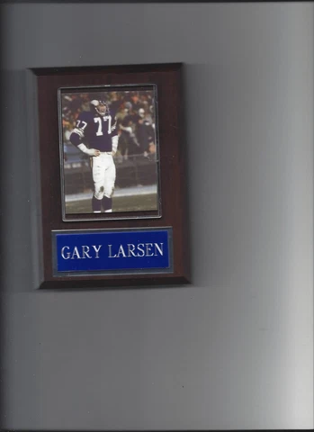 GARY LARSEN PLAQUE MINNESOTA VIKINGS FOOTBALL NFL Cover