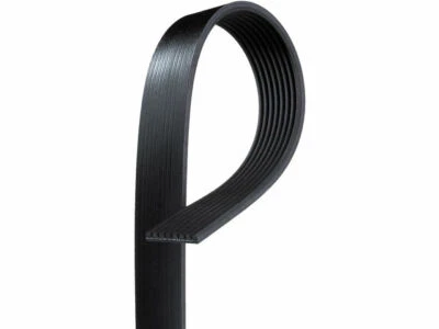 Cinturón multi costilla aire acondicionado Delco 85219ZS 2000 para Ford E350 Super Duty 1999-2001 Foto 1 de 2