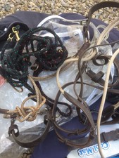 Equi Ami Lunge And Riding Aid 