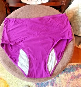 Everdries Purple Panty Size L ~ NWOT - Picture 1 of 2