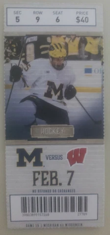 2019 - 2020 Michigan Wolverines vs Wisconsin Badgers Hockey Ticket Stub Cover